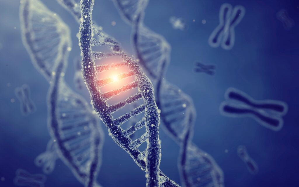 Cancer é hereditário?